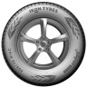 215/70  R15C Ikon (Nokian Tyres) Autograph Eco C3 109/107R (лето) а/шина