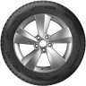 255/55  R19 Ikon (Nokian Tyres) Autograph Snow 3 111R (зима) а/шина