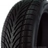 225/55  R16 BFGoodrich G-Force Winter GO 95Н (511601) (зима) а/шина