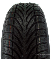 225/55  R16 BFGoodrich G-Force Winter GO 95Н (511601) (зима) а/шина