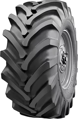 21.3  R24  Белшина ИЯВ-79 нс 10 с камерой а/шина