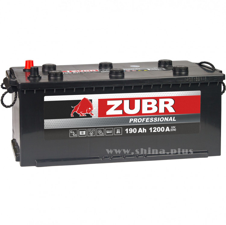 АКБ190Ah ZUBR Professional L+ (о.п+) 1200А(EN) 12V