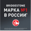 255/60  R18 Bridgestone Blizzak DMV2 106S (зима) а/шина