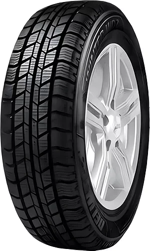 225/70 R15C Delinte Winter WD2 112/110S (зима) а/шина