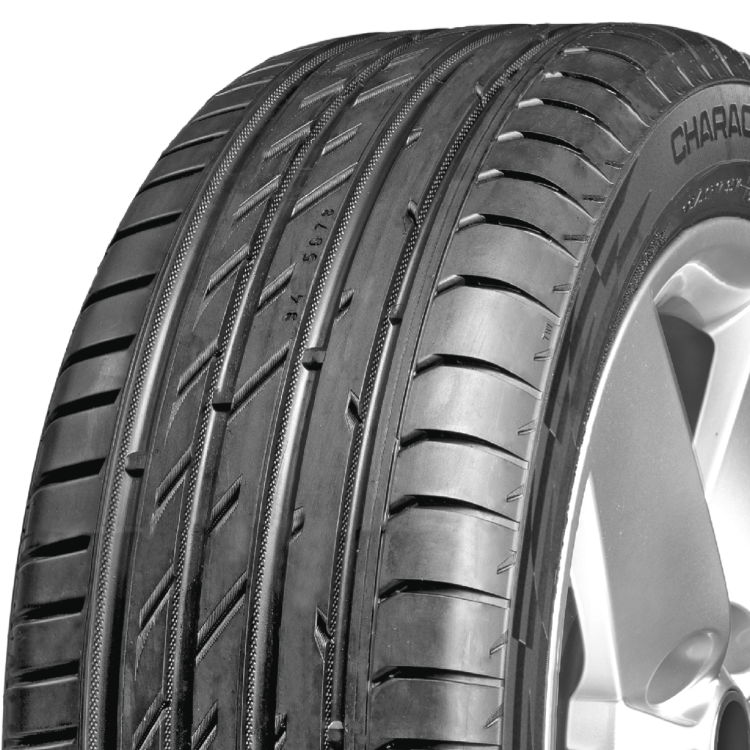 225/45  R18 Ikon Character Ultra 95W (лето) а/шина