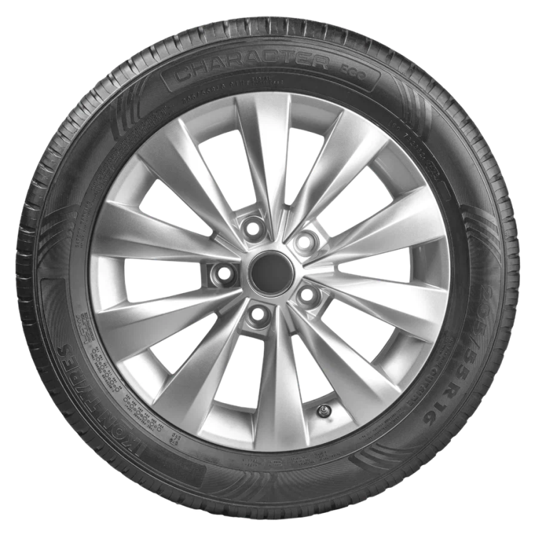205/65  R15 Ikon Character Eco 94H (лето) а/шина