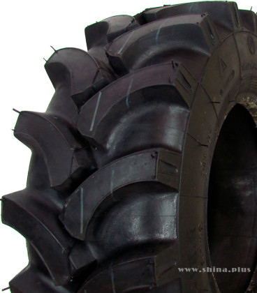 10.0/75-15.3 Алтайшина-30  н.с 10 инд.123 а/шина