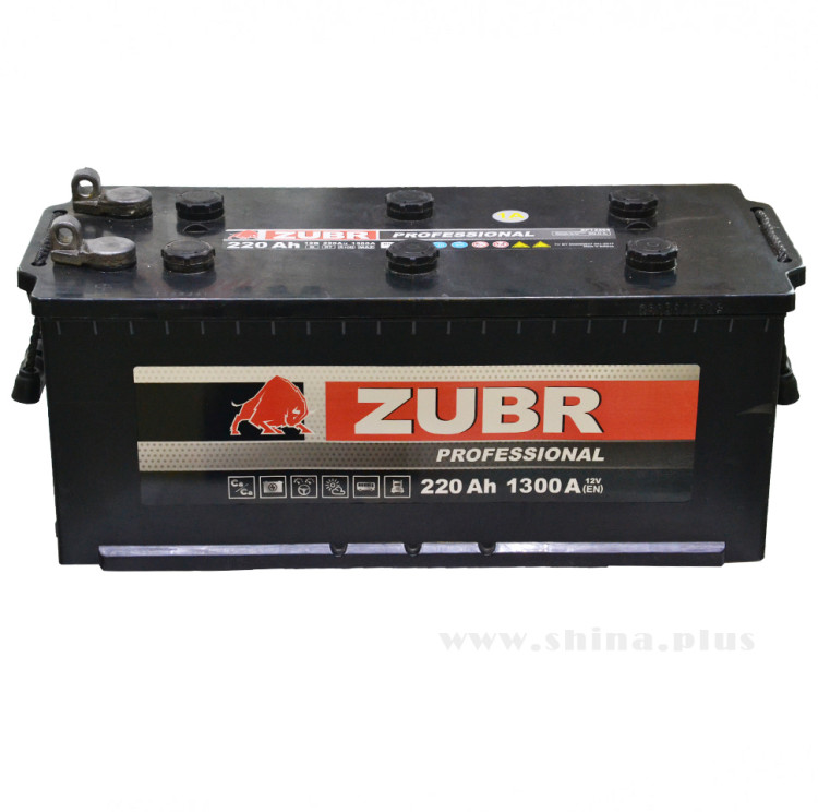 АКБ220Ah ZUBR Professional (п.п+) болт 1300А(EN) 12V